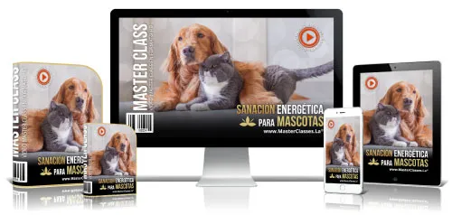 SANACIÓN ENERGÉTICA PARA MASCOTAS