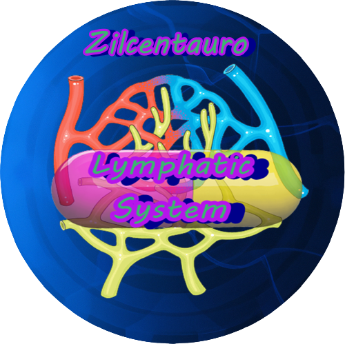LYMPHATIC SYSTEM BY ZILCENTAURO