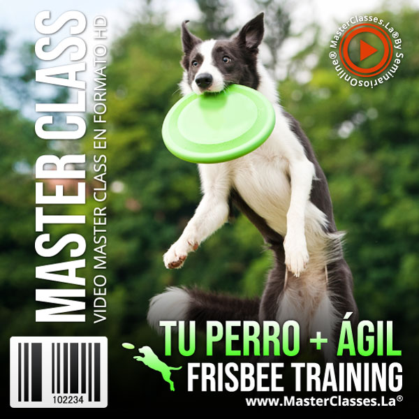 TU PERRO + ÁGIL – FRISBEE TRAINING