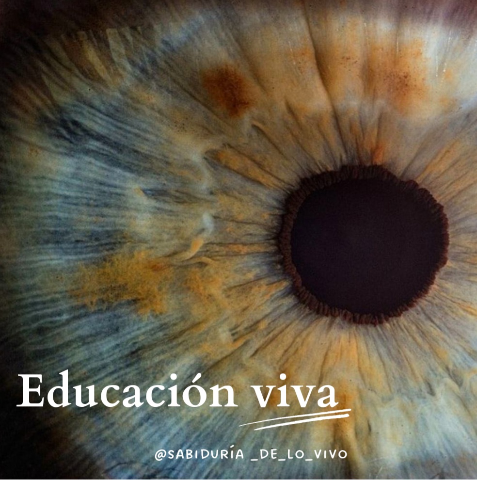 FORMACIÓN DE EDUCACIÓN VIVA